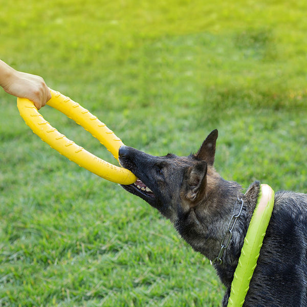 Dog Training Pull Ring Toy