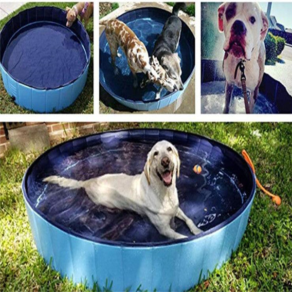 Pet Dog Swimming Pool