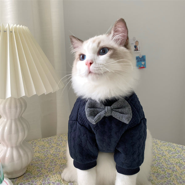 Warm And Cute Clothes For Pets