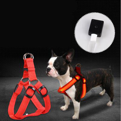 Large Dog Luminous Leash