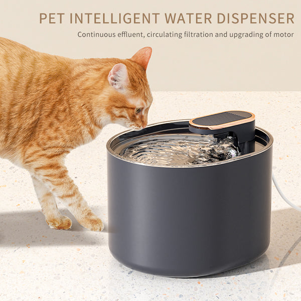 Cat Water Dispenser