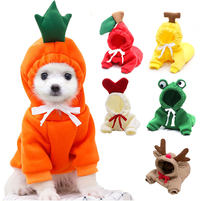 Dog Autumn And Winter Clothes