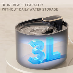 Cat Water Dispenser